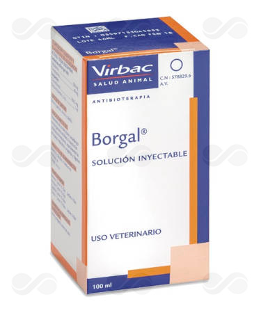 BORGAL 24% 100 ML INYECTABLE