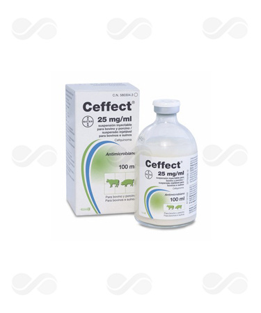 CEFFECT 25 MG/ML 100 ML