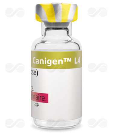 CANIGEN L4 10 DOSIS