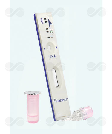 SPEED C CRP 6 TEST