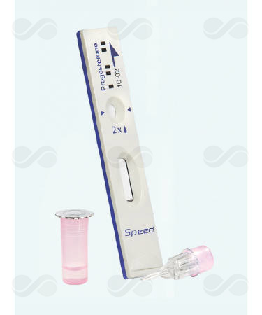SPEED PROGESTERONE 6 TEST