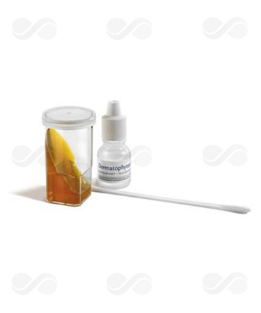 DERMATOPHYTES 6 TEST