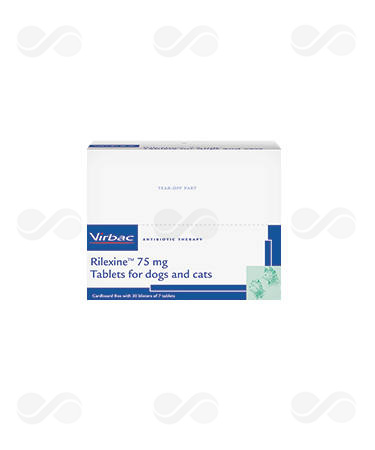 RILEXINE CP. MASTICABLES 75 MG (140 CP)