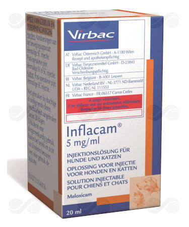 INFLACAM 5 MG/ML 20 ML