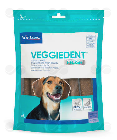VEGGIEDENT FRESH M