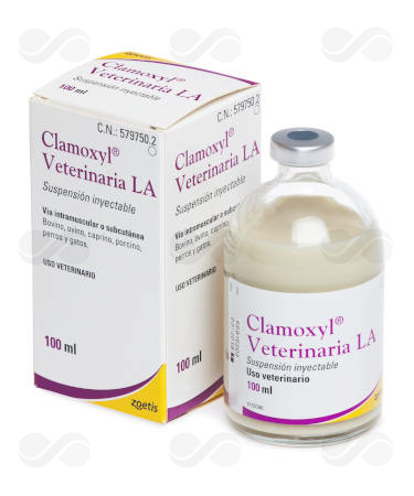 CLAMOXYL LA 100 ML INYECTABLE