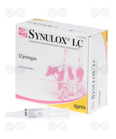 SYNULOX LC 1 x 12 JERINGAS