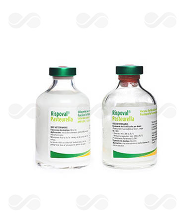 RISPOVAL PASTEURELA 1 x 5 DOSIS
