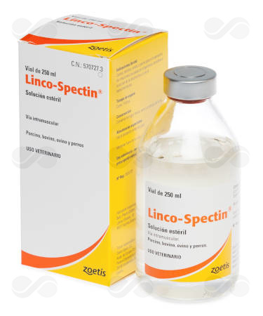 LINCO-SPECTIN SS 250 ML INYECTABLE