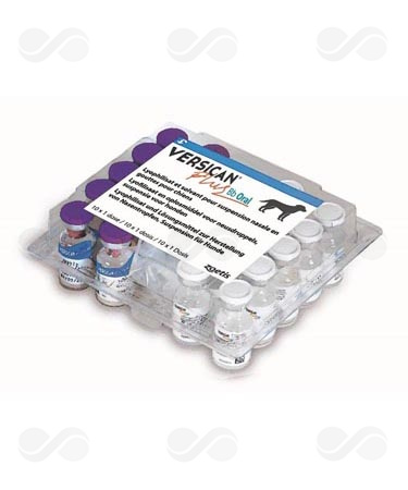 VERSICAN PLUS BB ORAL 10 DOSIS