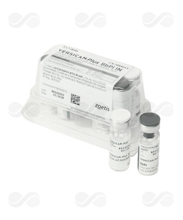 VERSICAN PLUS BBPI INTRANASAL 5 DOSIS