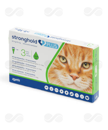 STRONGHOLD PLUS 60/10 MG 5-10 KG 3 PIP