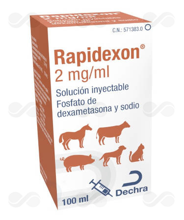 RAPIDEXON 100 ML