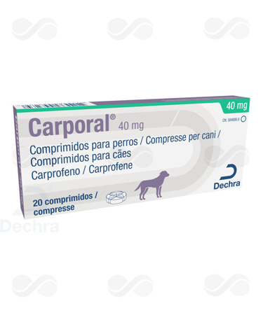 CARPORAL 40 MG 20 COMPRIMIDOS