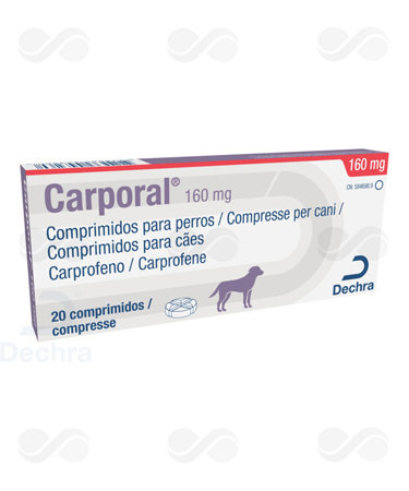 CARPORAL 160 MG 20 COMPRIMIDOS