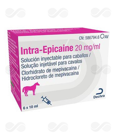INTRA EPICAINE 6 x 10 ML