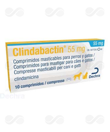 CLINDABACTIN 55 MG 10 COMPRIMIDOS
