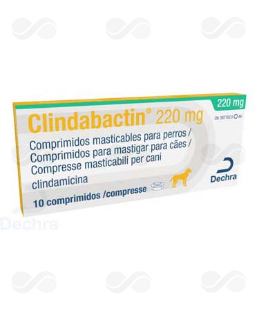 CLINDABACTIN 220 MG 10 COMPRIMIDOS