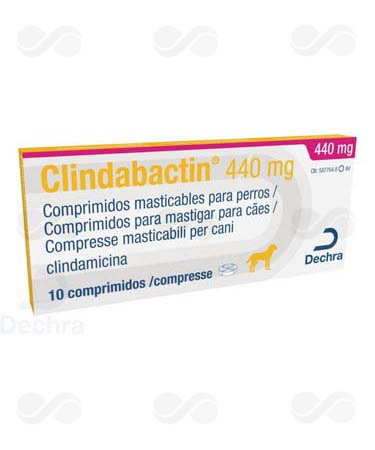 CLINDABACTIN 440 MG 10 COMPRIMIDOS