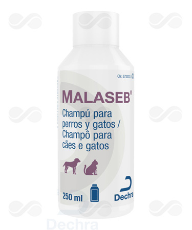 MALASEB CHAMPU 250 ML