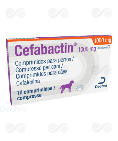 CEFABACTIN 1000 MG 10 COMPRIMIDOS