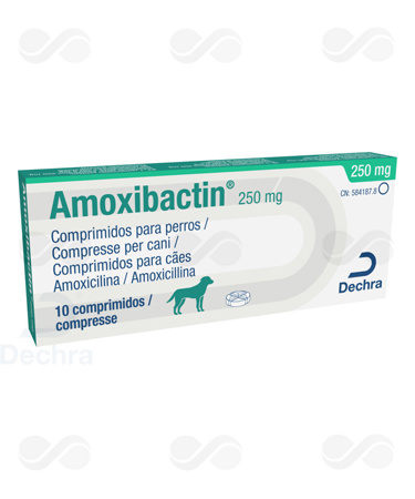 AMOXIBACTIN 250 10 COMPRIMIDOS