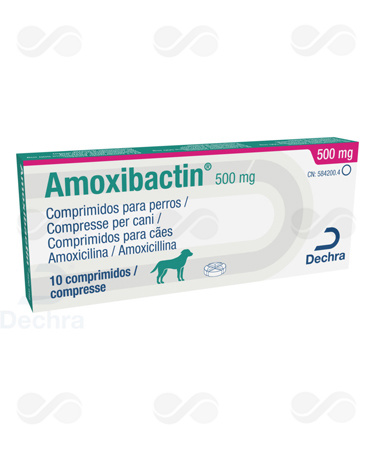AMOXIBACTIN 500 10 COMPRIMIDOS