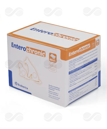 ENTERO-CHRONIC 60 SOBRES