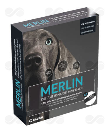 MERLIN 65 CM 1 COLLAR