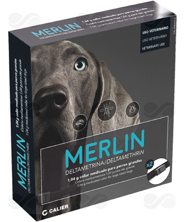 MERLIN 65 CM 2 COLLARES