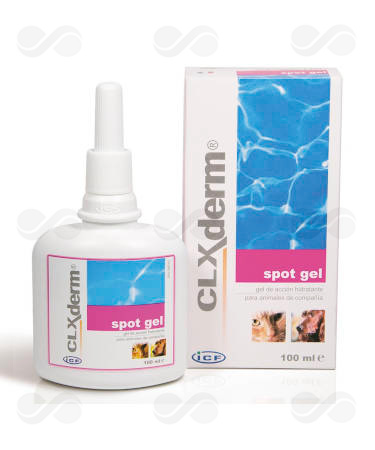 CLXDERM SPOT GEL 100 ML