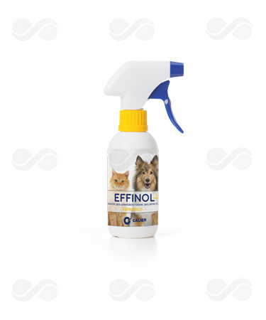 EFFINOL SPRAY 250 ML