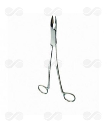 CORTADOR DENTAL ROEDORES