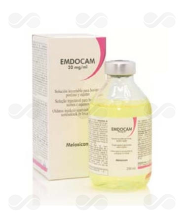 EMDOCAM 250 ML