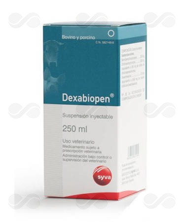 DEXABIOPEN 250 ML