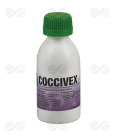 COCCIVEX SOL ORAL 100 ML