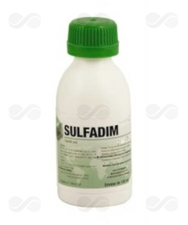 SULFADIM ORAL 100 ML
