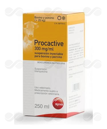 PROCACTIVE 300 250 ML
