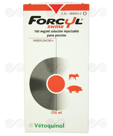 FORCYL SWINE 160 MG/ML PORCINO 250 ML