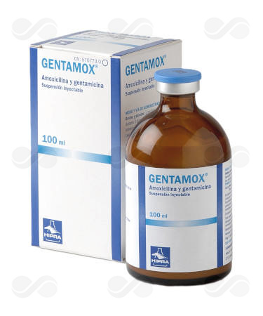 GENTAMOX 100 ML INY