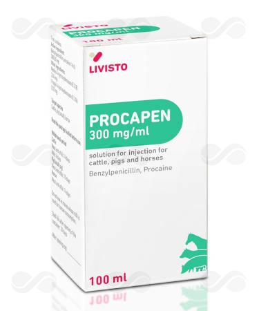 PROCAPEN 300 MG/ML 100 ML