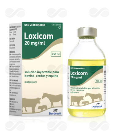 LOXICOM INYECTABLE 20 MG 250 ML