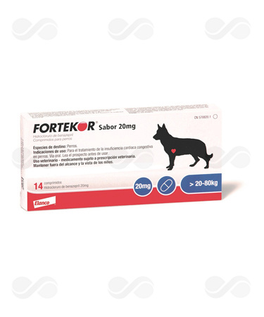 FORTEKOR 20 MG SABOR 14 COMPRIMIDOS