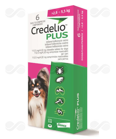 CREDELIO PLUS 112,5/4,22 MG >2,8-5,5 KG 6 COMP