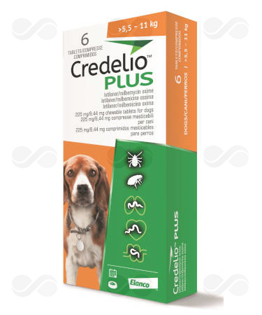 CREDELIO PLUS 225/8,44 MG >5,5-11 KG 6 COMPRIMIDOS