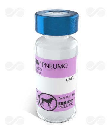 EURICAN PNEUMO 10 DOSIS