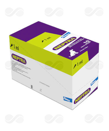 NEPTRA SOLUCION OTICA 10 x 1 ML