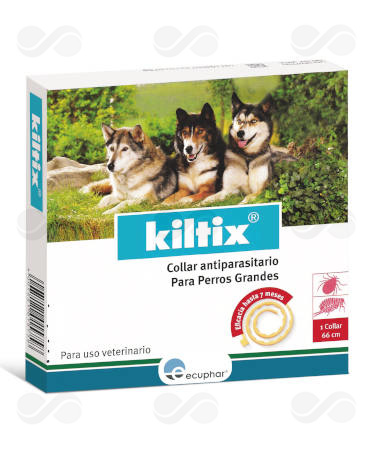 KILTIX GRANDE