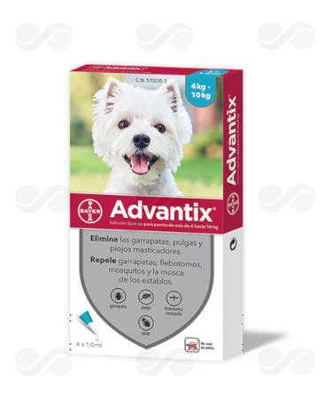 ADVANTIX 4 x 1.0 (DE 4 A 10 KG)