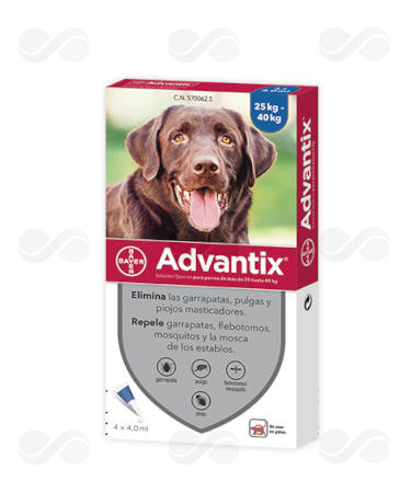 ADVANTIX 4 x 4.0 (> 25 KG)